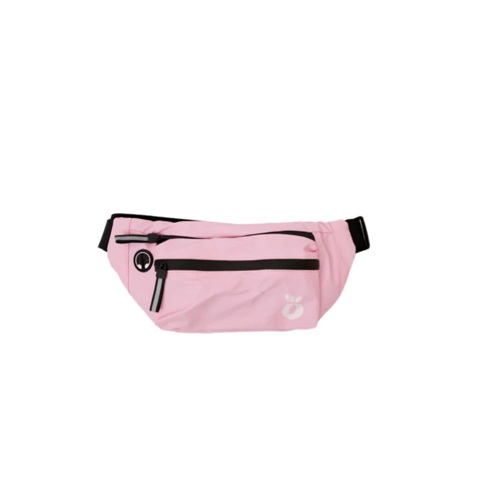 3 compartment fanny pack, 2 in the front and one secret pocket in the back!